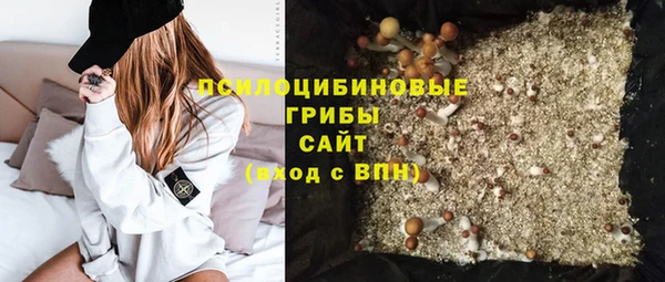 прущая мука Армянск